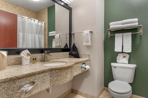 邓肯维尔邓肯维尔/达拉斯佳西酒店的一间带卫生间、水槽和镜子的浴室