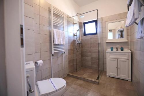 瓦杜REȘEDINȚA PRINȚESELOR的带淋浴、卫生间和盥洗盆的浴室