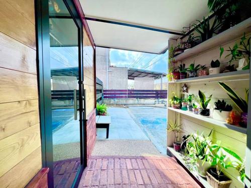 石垣岛とぅも～る的玻璃门通向种植了盆栽植物的庭院