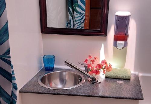RotoavaAquaLodge Fakarava的浴室的柜台设有水槽和镜子