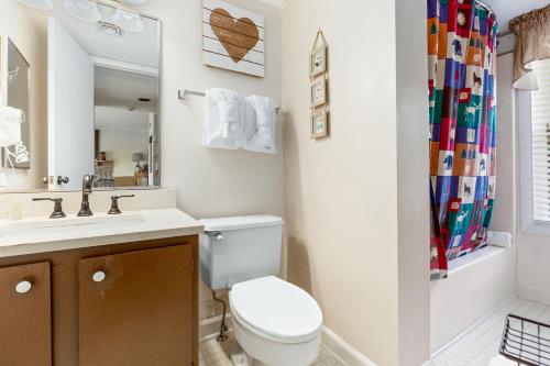 加特林堡Deer Ridge Mountain Resort C202的一间带卫生间、水槽和镜子的浴室
