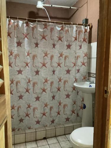 圣佩德罗拉拉古纳CASA BATZ #1的浴室设有淋浴帘、卫生间和水槽