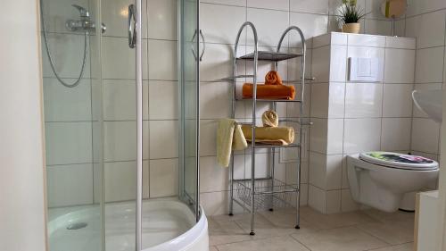 赖因斯贝格Goldener Anker, verschiedene gemütliche Ferienwohnungen的带淋浴和卫生间的浴室