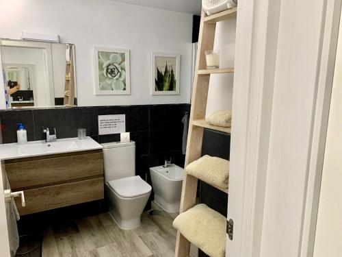 阿瓜杜尔塞Apartment Paseo的一间带卫生间、水槽和镜子的浴室