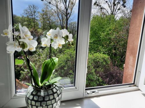 Reichshoffen瑞纳迪艾尔梅森酒店的窗台上装有白色花朵的花瓶