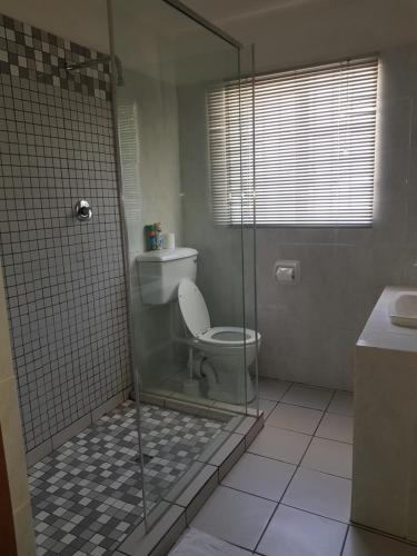 里士满Karoo Manor Guesthouse and Restaurant的一间带卫生间和玻璃淋浴间的浴室