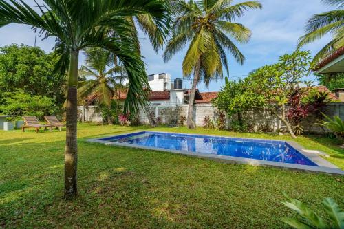 尼甘布Ocean Gate Negombo的棕榈树房子的院子内的游泳池