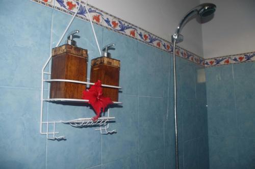 乌布拉马尼亚旅馆的墙上有红色叶子的淋浴的浴室