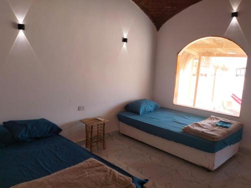 NuweibaFull Moon Camp Sinai的一间卧室设有两张床和窗户。
