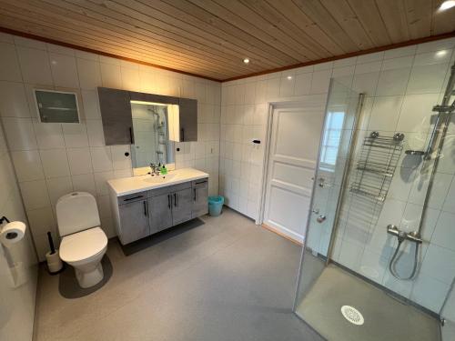 翁达尔斯内斯Trollstigen Resort的浴室配有卫生间、盥洗盆和淋浴。