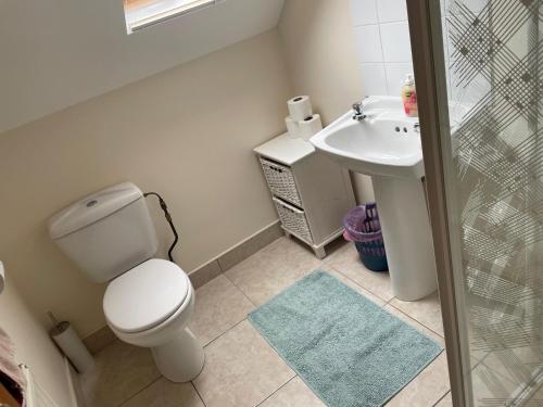 BallinamuckHillside House - Ringfort的一间带卫生间和水槽的浴室