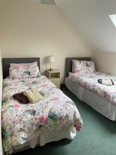 BallinamuckHillside House - Ringfort的卧室内两张并排的床