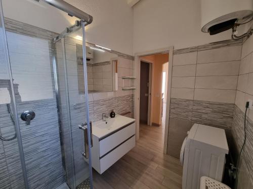 罗萨岛Appartamento Spargi的一间带水槽、淋浴和卫生间的浴室