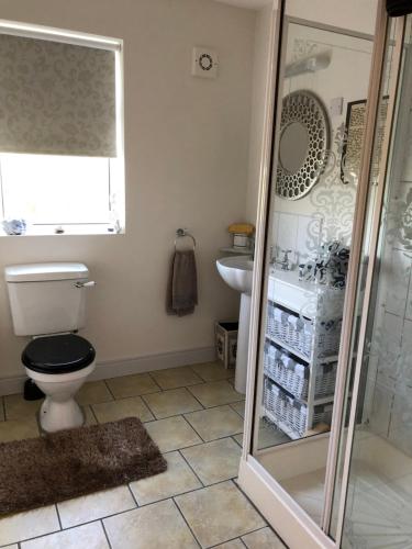 卡林福德Eden House的浴室配有卫生间、盥洗盆和淋浴。