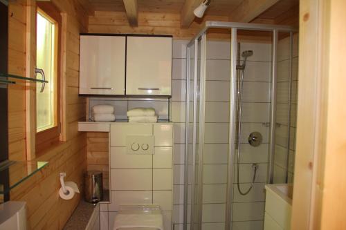 福森Blockhaus Säuling - Haus Elise Apartments的带淋浴、卫生间和盥洗盆的浴室