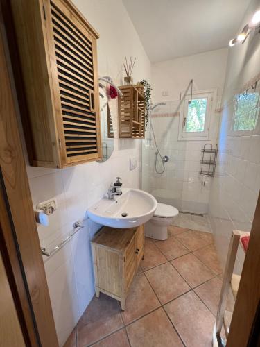 拉科纳Villetta Lampone的一间带水槽和卫生间的浴室