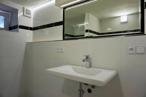 Podkopná LhotaPrázdninový dům-Pension ROLIMPEX的浴室设有白色水槽和镜子