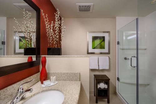 查尔斯顿查尔斯顿市中心/市政中心万怡酒店的一间带水槽和淋浴的浴室