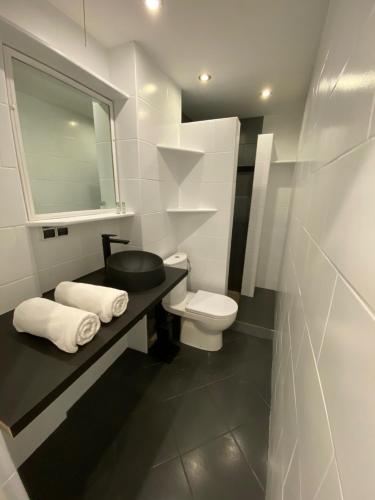 托伦Central Rooms Apartment的白色的浴室设有水槽和卫生间。