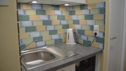 万根沃格Seeluft 33的一个带水槽和瓷砖墙的厨房台面