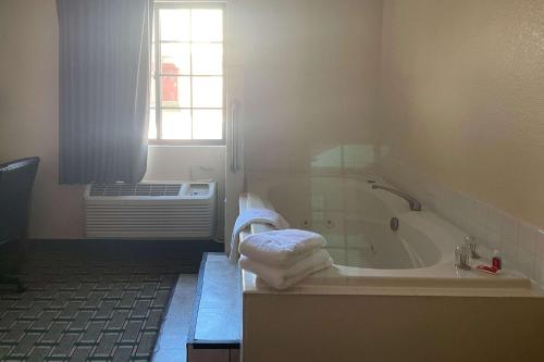 卡拉马祖卡拉马祖伊克诺旅店的带浴缸的浴室和窗户。