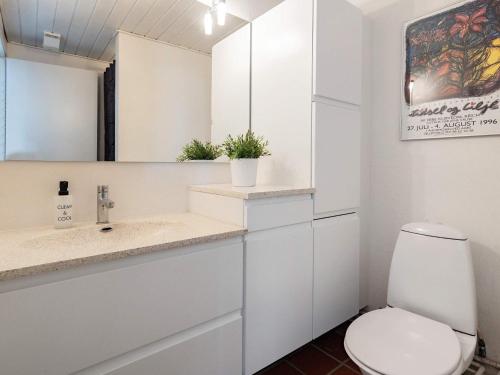 NibeHoliday home Nibe VII的一间带卫生间、水槽和镜子的浴室
