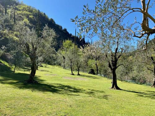 托斯科拉诺-马德尔诺Casa Lume的绿草丛生的绿草丛生的山地