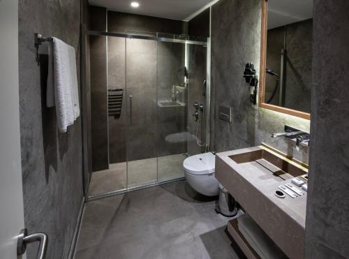 伊斯坦布尔波斯佛拉酒店的带淋浴、卫生间和盥洗盆的浴室