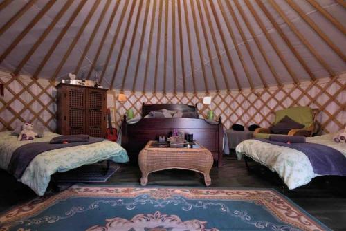 SturryMagical Forest yurt的圆顶帐篷配有两张床和一张桌子