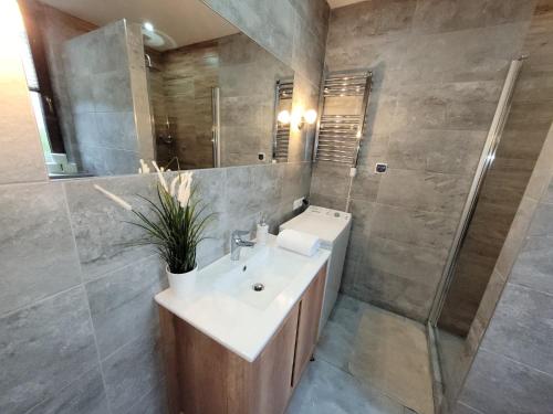 SpytkowiceCountry House - apartamenty blisko Energylandii的一间带水槽和淋浴的浴室