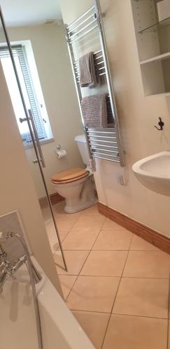阿伯加文尼Quiet, countryside - Abergavenny, up to 4 guests, 2 bedrooms的一间带卫生间和水槽的浴室