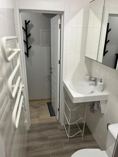 帕兰加Mano Jūra 2, Kunigiškiai - Viltės Apartamentai的一间带水槽、卫生间和镜子的浴室