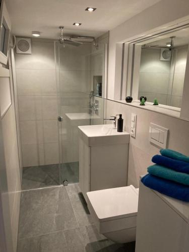杜塞尔多夫Schickes Apartment in Düsseldorf- Flehe的带淋浴、卫生间和盥洗盆的浴室