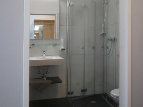 卢斯特瑙林德辛诺豪斯酒店的一间带水槽和淋浴的浴室