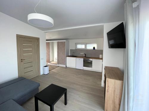 比尔扎伊Apartamentai Biržuose, Cozy Modern Bungalows的带沙发和桌子的客厅以及厨房。