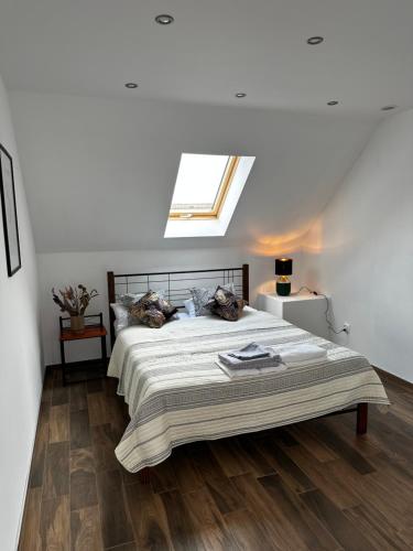 耶莱尼亚古拉Loft Elsnera3的一间卧室配有一张带天窗的大床