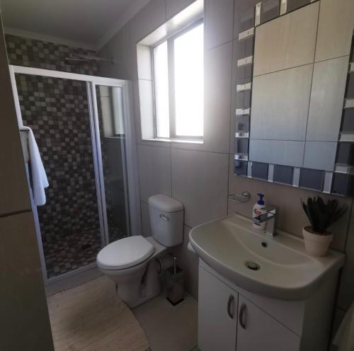 昆斯敦Emerald Boutique Guesthouse的浴室配有卫生间、盥洗盆和淋浴。