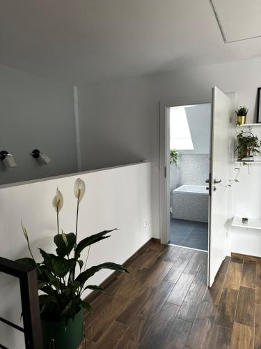 耶莱尼亚古拉Loft Elsnera3的浴室拥有白色的墙壁和盆栽植物