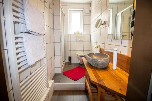 因斯布鲁克豪斯锦斯裴格公寓的一间带水槽和卫生间的小浴室
