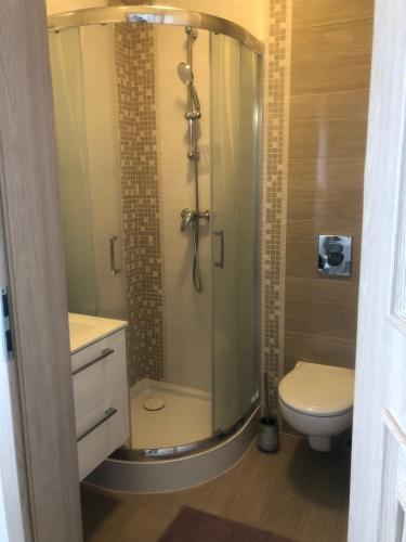 卡齐米日-多尔尼DOM NAD STAWEM的带淋浴和卫生间的浴室