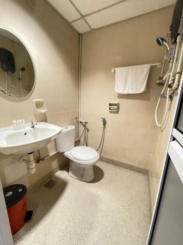 太平巴拉克街酒店的一间带卫生间和水槽的浴室