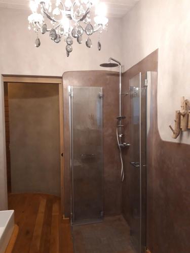 MaioloB&B EcoAntico casa in paglia的一间带吊灯和淋浴的浴室