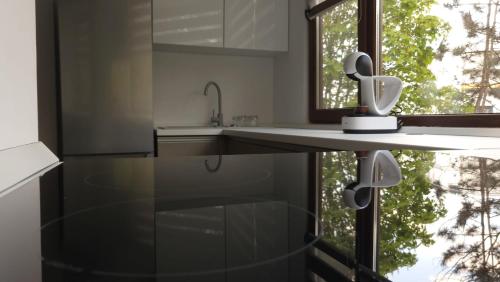 SeleuşRacosim Residentials的厨房设有水槽和窗户。