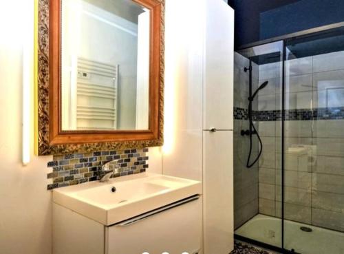 索米耶尔Appartement à Sommières的一间带水槽、镜子和淋浴的浴室