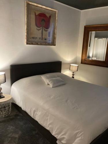 索米耶尔Appartement à Sommières的一间卧室配有一张带两盏灯的大型白色床。