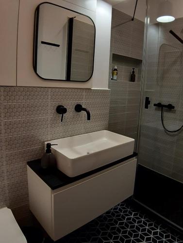 华沙Soul Apartment的浴室配有盥洗盆和带镜子的淋浴