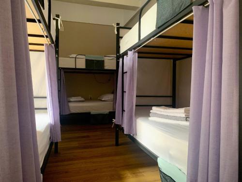 巴统Hostel 47的客房内的两张双层床,带紫色窗帘