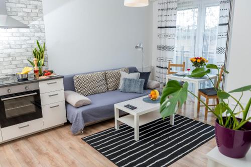 比得哥什Apartament Graniczna 6B的一间带蓝色沙发的客厅和一间厨房