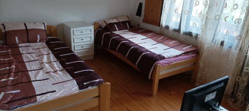 Kursumlijska BanjaKursumlijska banja apartman 4+1的一间卧室配有两张床和梳妆台。