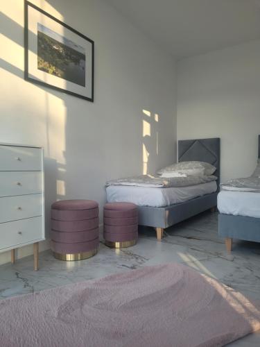 哈日科维Apartament Turystyczny z widokiem na jezioro的卧室配有两张床、梳妆台和地毯。